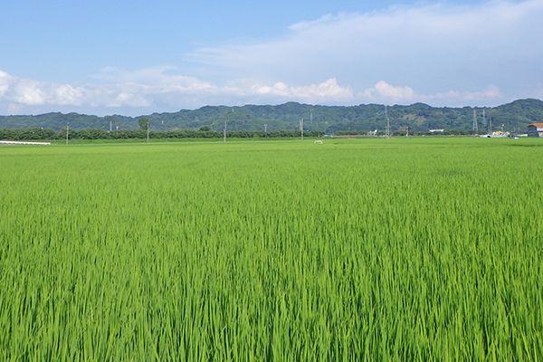2024年5月14日